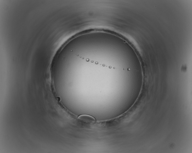 X0000092280887200709281243