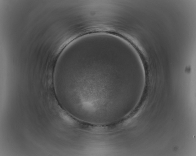 X0000092280889200709281243