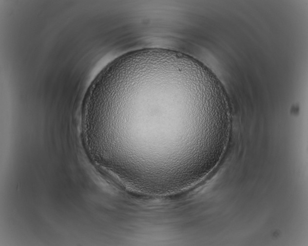 X0000092280891200709281243