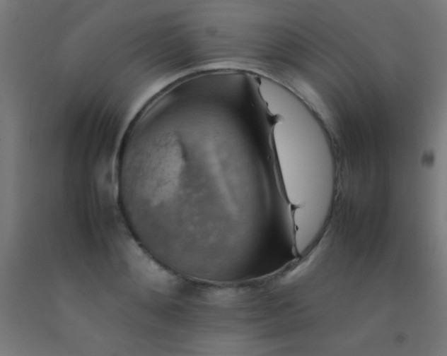 X0000092280892200709281243