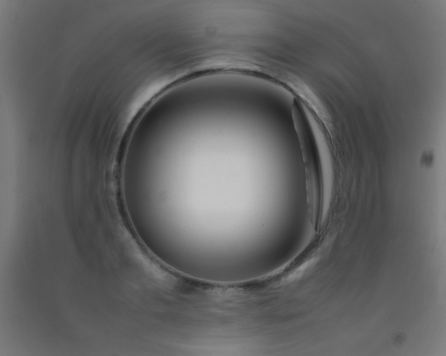 X0000092280893200709281243