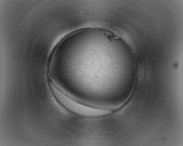 X0000092280896200709281243