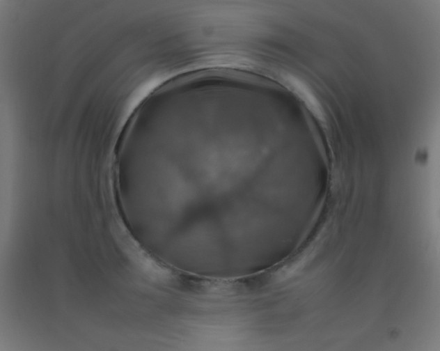 X0000092280899200709281243