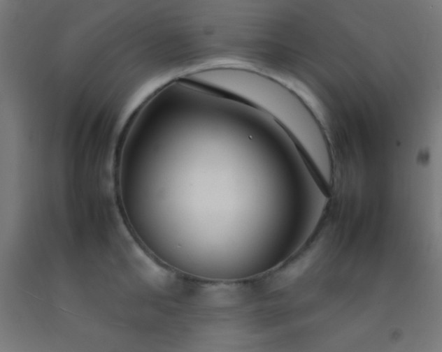 X0000092280902200709281243