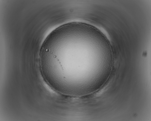 X0000092280903200709281243