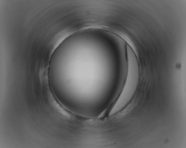 X0000092280906200709281243