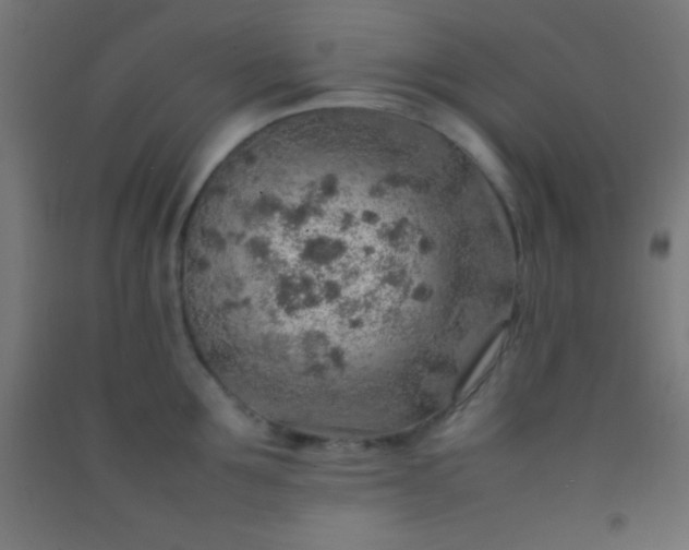 X0000092280907200709281243