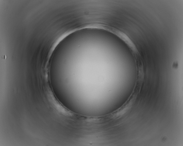 X0000092280908200709281243