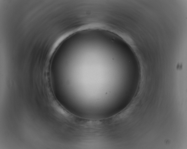 X0000092280912200709281243