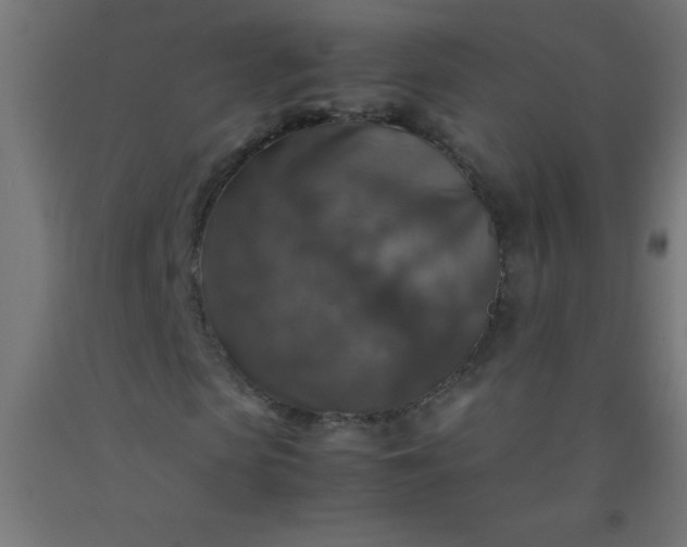 X0000092280913200709281242