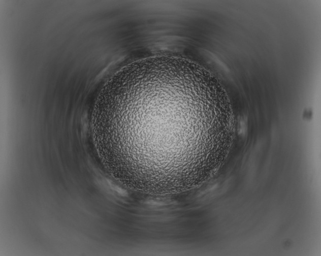 X0000092280915200709281242