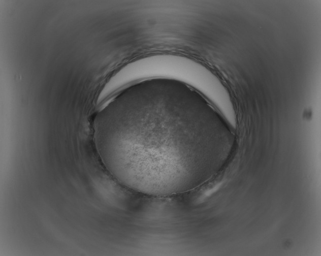 X0000092280916200709281242