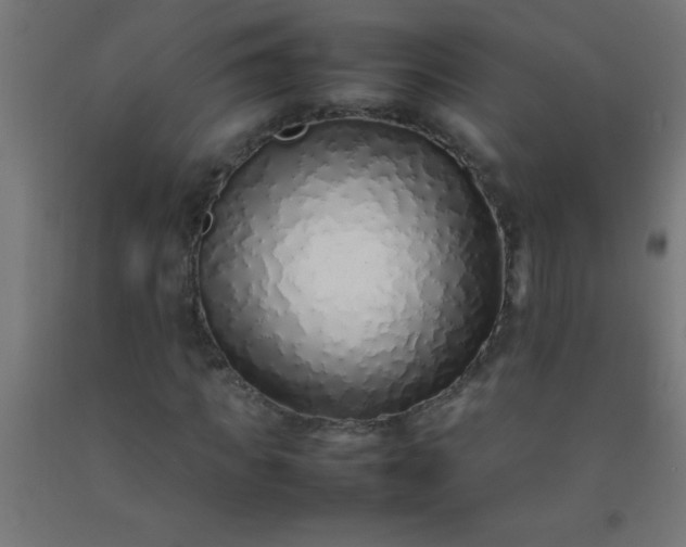 X0000092280917200709281242