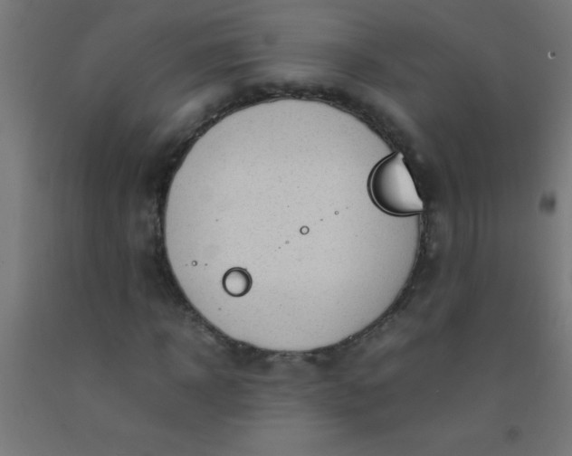 X0000092280918200709281242