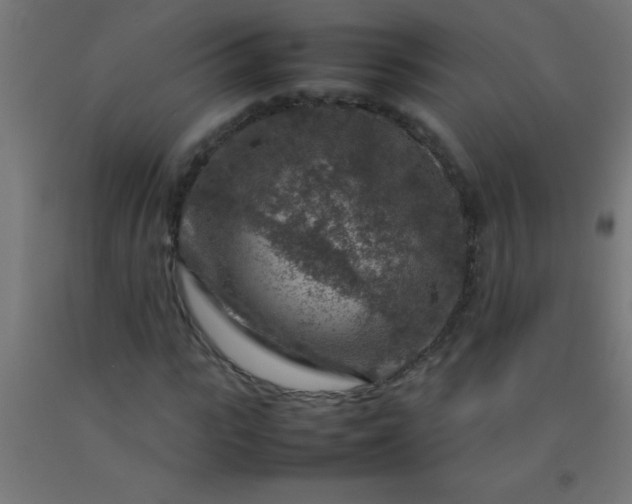 X0000092280919200709281242