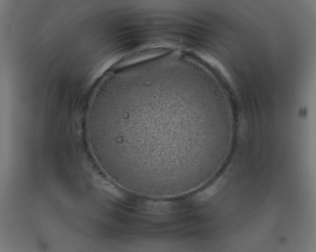 X0000092280921200709281242