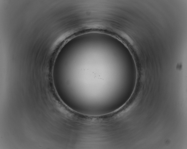 X0000092280922200709281242