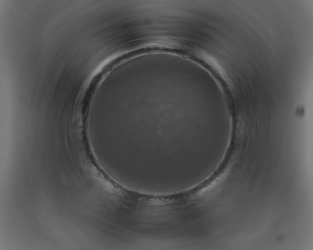 X0000092280923200709281242