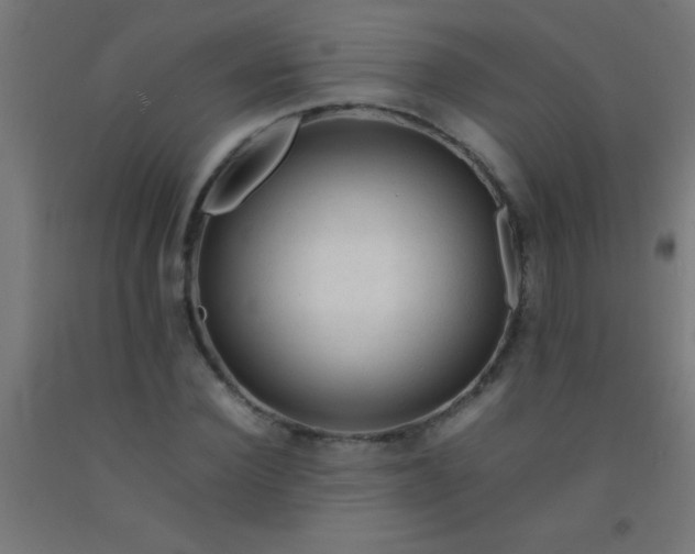 X0000092280924200709281242