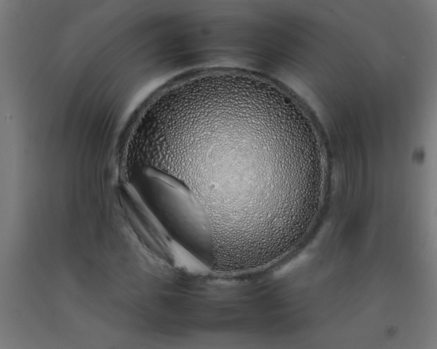 X0000092280925200709281242