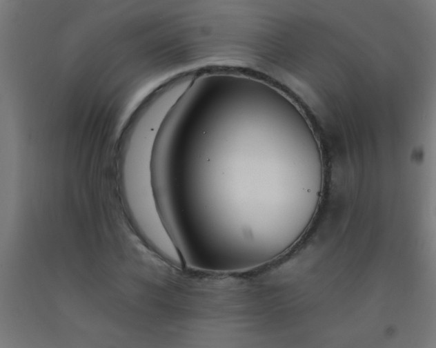 X0000092280926200709281242