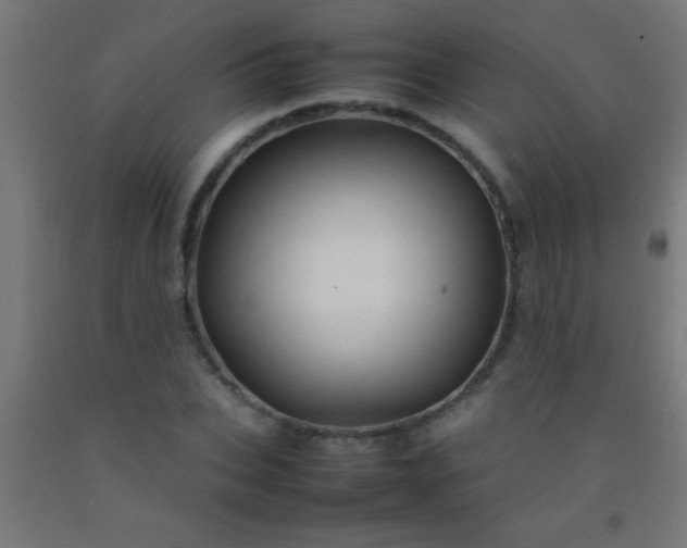 X0000092280927200709281242