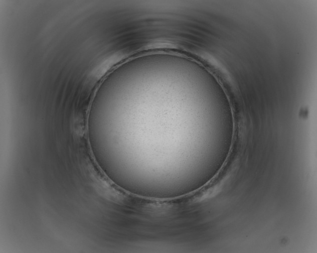 X0000092280929200709281242