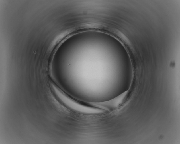 X0000092280930200709281242