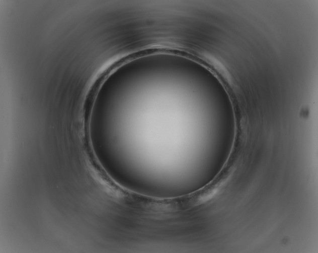 X0000092280931200709281242