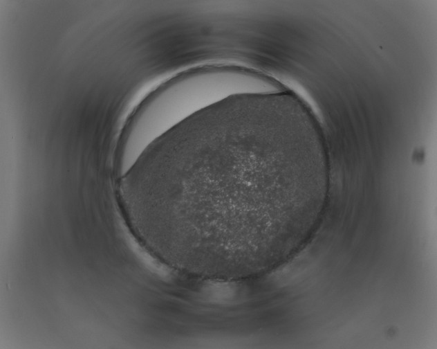 X0000092280935200709281243