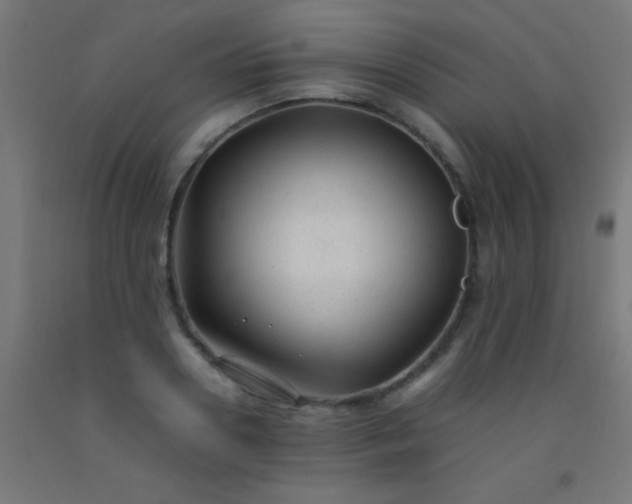 X0000092280938200709281243