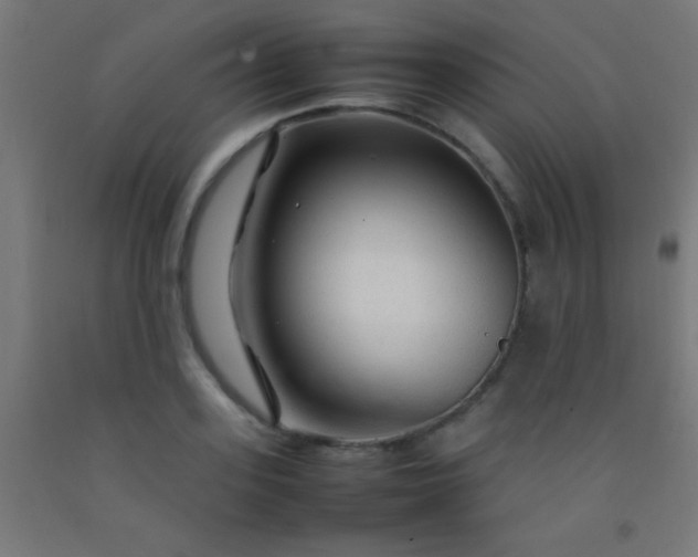 X0000092280939200709281243