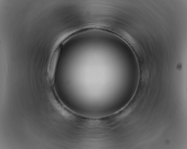 X0000092280940200709281243