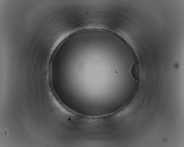 X0000092280941200709281243