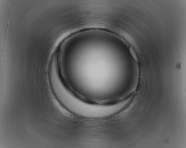 X0000092280942200709281243