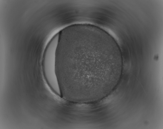 X0000092280943200709281243