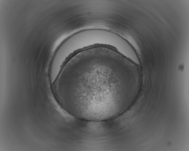 X0000092280944200709281243