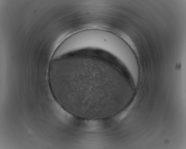 X0000092280946200709281243