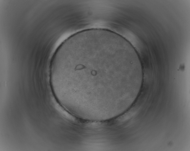 X0000092280950200709281243