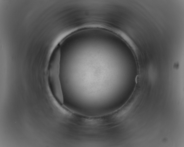 X0000092280951200709281243