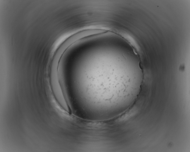 X0000092280952200709281243