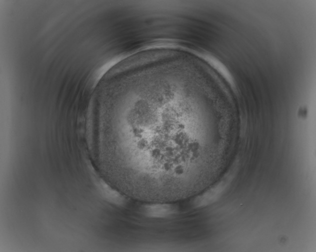 X0000092280953200709281243