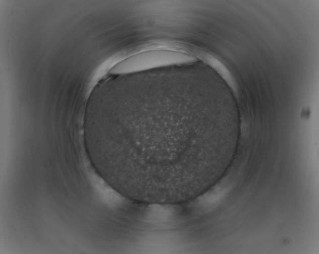 X0000092280954200709281243