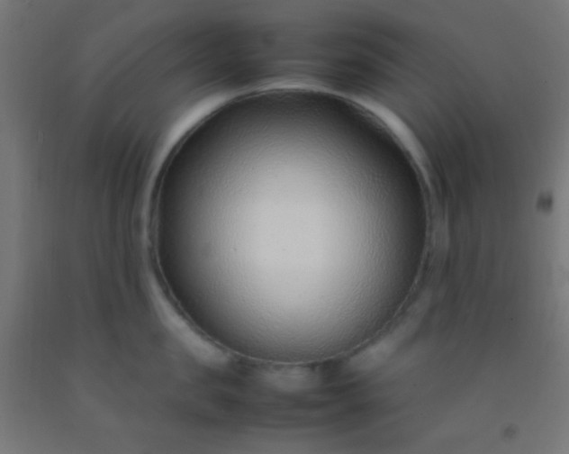 X0000092280957200709281243