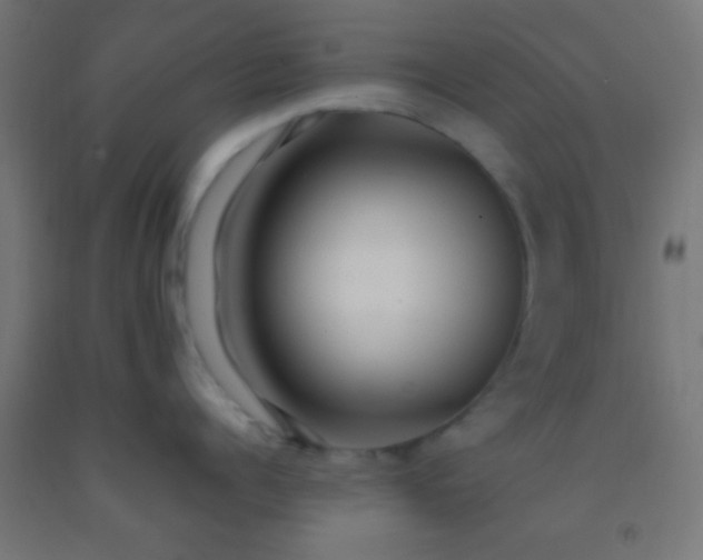 X0000092280960200709281243