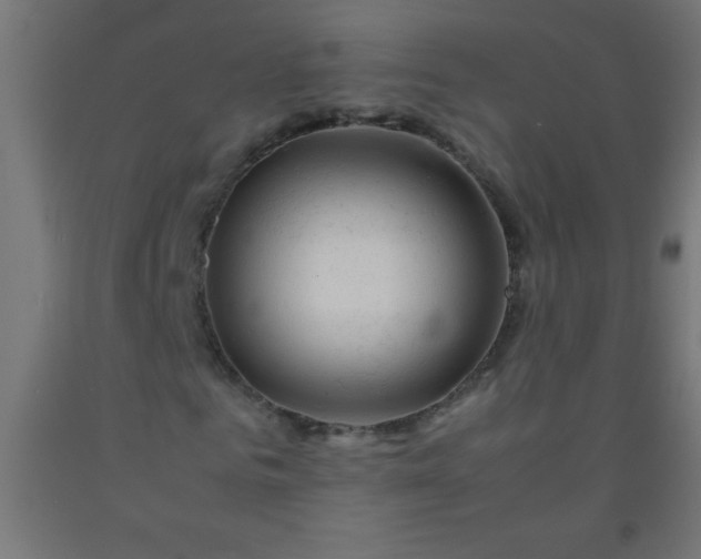 X0000092280961200709281242