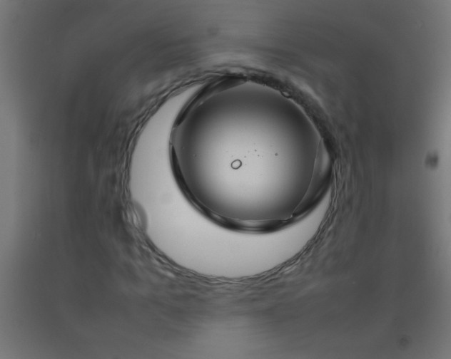 X0000092280965200709281242