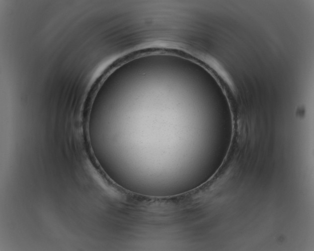 X0000092280972200709281242