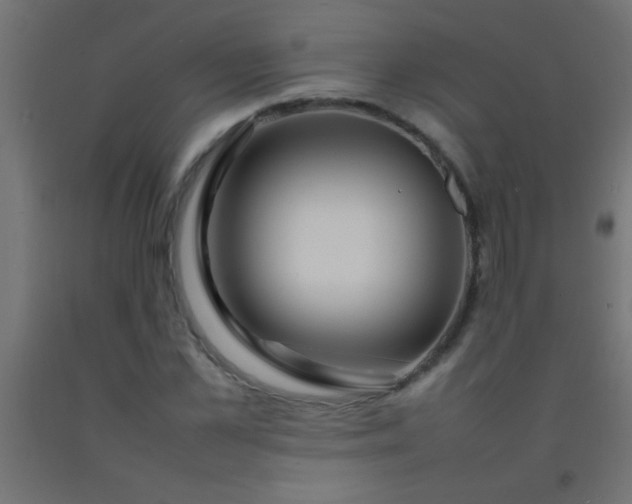 X0000092280973200709281242