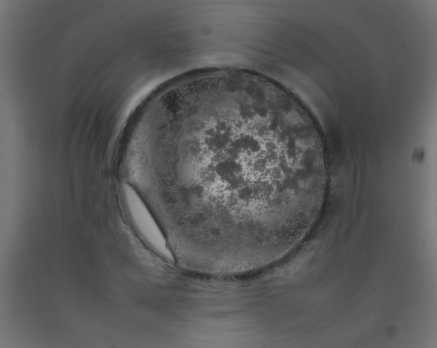 X0000092280975200709281242